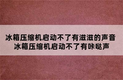 冰箱压缩机启动不了有滋滋的声音 冰箱压缩机启动不了有咔哒声